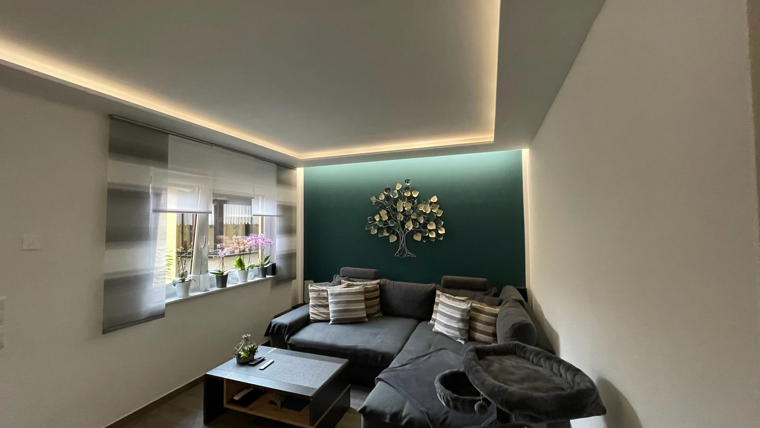 BrandenBau — Modernisierung & Umbau — Trockenbauarbeiten